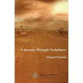 A Journey Through Turbulence