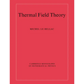 Thermal Field Theory