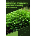 Fissidens fontanus (Phoenix Moss): From Novice to Expert. Comprehensive Aquarium Plants Guide