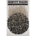 Identity Parade: New British & Irish Poets