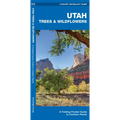 Utah Trees & Wildflowers: A Folding Pocket Guide to Familiar Plants