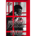 Possessive Intent: A North Brooke Port Novel