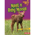 Meet a Baby Moose