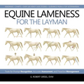 Equine Lameness for the Layman: Tools for Prompt Recognition, Accurate Assessment, and Proactive Management