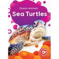 Sea Turtles