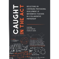 Caught in the Act: Reflections on Continuing Professional Development of Mathematics Teachers in a Collaborative Partnership