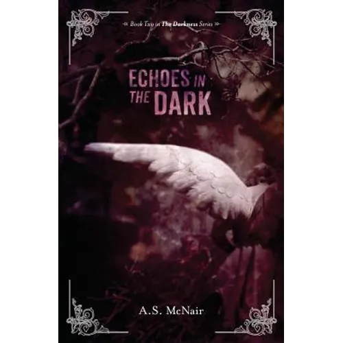 Echoes In the Dark: Book Two in the Darkness Series