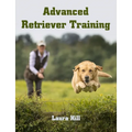 Advanced Retriever Training