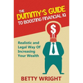 The Dummy's Guide To Boosting Financial IQ: Realistic and Legal Way Of Increasing Your Wealth