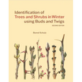 Identification of Trees & Shrubs in Winter Using Buds and Twigs, Second Edition