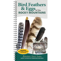 Bird Feathers & Eggs of the Rocky Mountains: Identify 40 Species of Common Backyard Birds