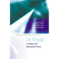 Infinite Dimensional Lie Groups In...