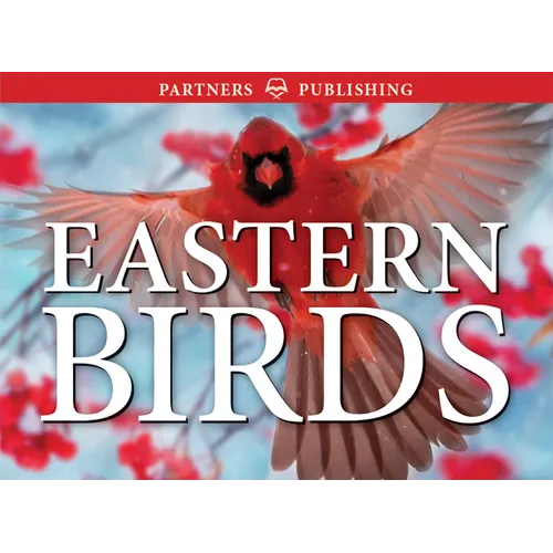Eastern Birds: Pocket Guide
