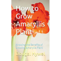 How to Grow Amaryllis Plant: Knowing the Benefits of Growing Amaryllis Plant