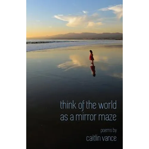Think of the World as a Mirror Maze