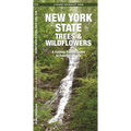 New York State Trees & Wildflowers
