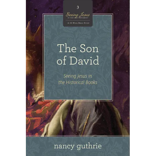 The Son of David: Seeing Jesus in the Historical Books (a 10-Week Bible Study) Volume 3