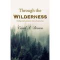 Through The Wilderness: Finding God's presence when all seems lost.