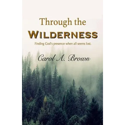 Through The Wilderness: Finding God's presence when all seems lost.