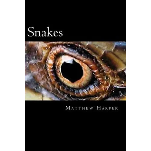 Snakes: A Fascinating Book Containing Snake Facts, Trivia, Images & Memory Recall Quiz: Suitable for Adults & Children