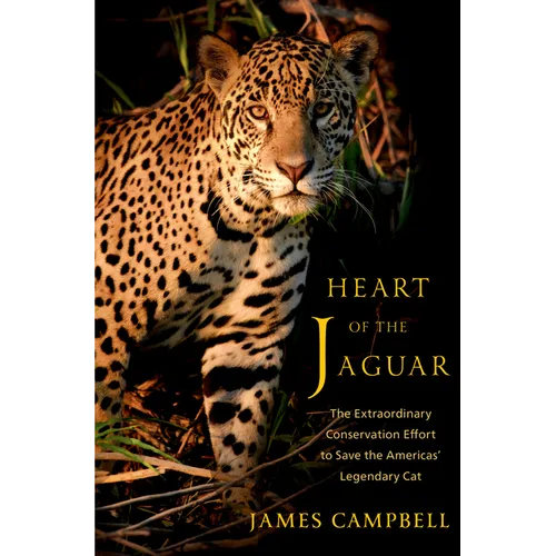 Heart of the Jaguar: The Extraordinary Conservation Effort to Save the Americas' Legendary Cat