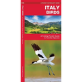 Italy Birds: A Folding Pocket Guide to Familiar Species