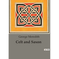 Celt and Saxon: Cultural Clashes and Familial Ties in "Celt and Saxon"