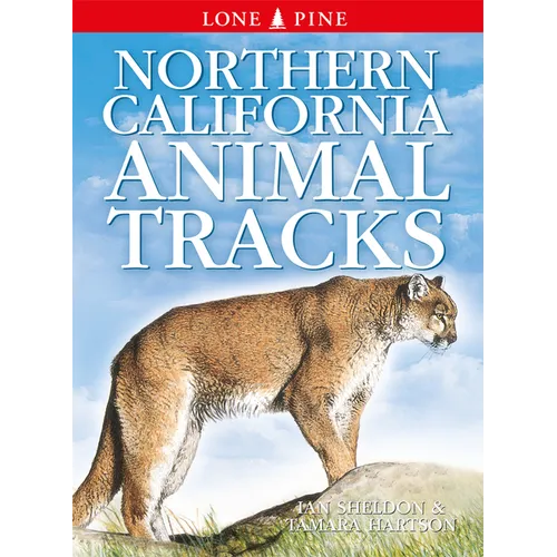 Northern California Animal Tracks