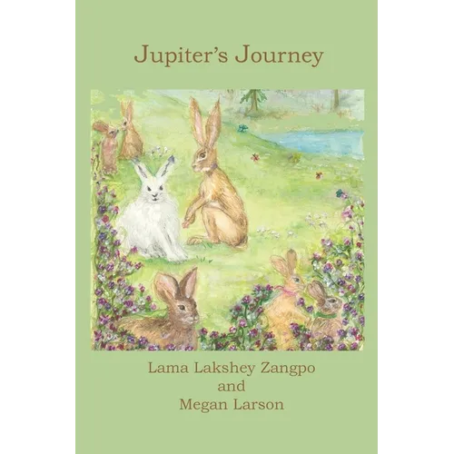 Jupiter's Journey