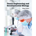 Tissue Engineering and Developmental Biology