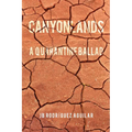 Canyonlands: A Quarantine Ballad