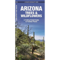 Arizona Trees & Wildflowers: A Folding Pocket Guide to Familiar Plants