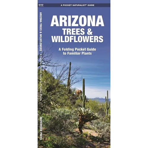 Arizona Trees & Wildflowers: A Folding Pocket Guide to Familiar Plants