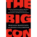 The Big Con: How the Consulting Industry Weakens Our Businesses, Infantilizes Our Governments, and Warps Our Economies