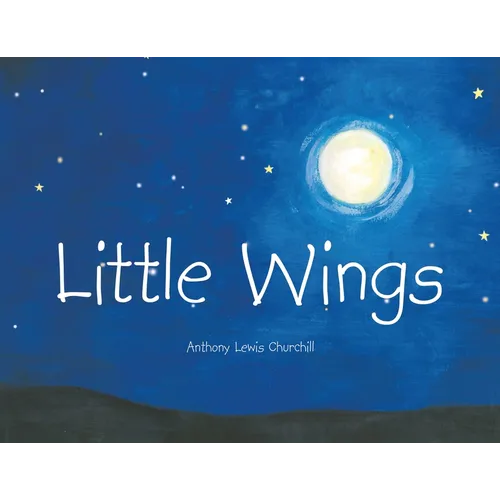 Little Wings
