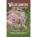 Wildflowers of The Little Tennessee River Greenway