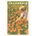 The Vintage Journal Woman sitting in Field of California Poppies