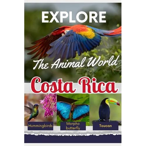 Explore the Animal World of Costa Rica