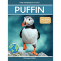 Puffin: Amazing Facts about Nature's Colorful Seabird for Kids
