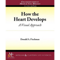 How the Heart Develops: A Visual Approach