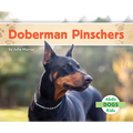 Doberman Pinschers