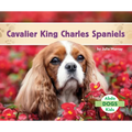Cavalier King Charles Spaniels