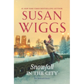 Snowfall in the City