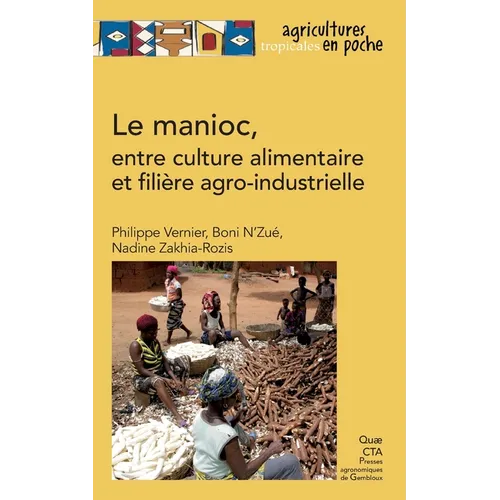Le manioc: Entre culture alimentaire et filière agro-industrielle