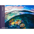 Two Worlds: Above and Below the Sea