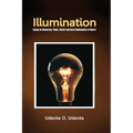 Illumination: Essays on Democracy, Culture, Peace and Social Development in Nigeria