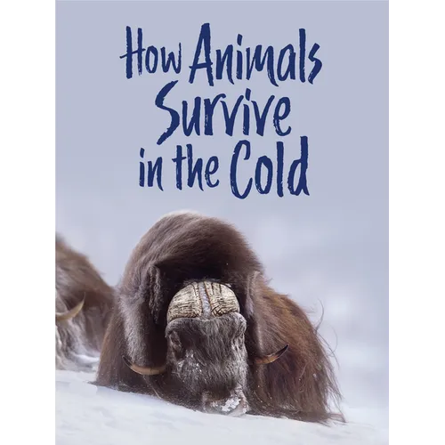 How Animals Survive in the Cold: English Edition