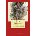 The Princess: Illustrated