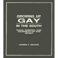 Growing Up Gay in the South: Race, Gender, and Journeys of the Spirit