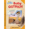 Baby Ostrich